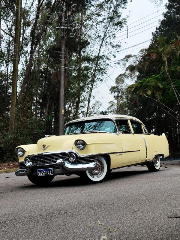 Fleetwood - Foto #12 do anúncio à venda de Carro clássico