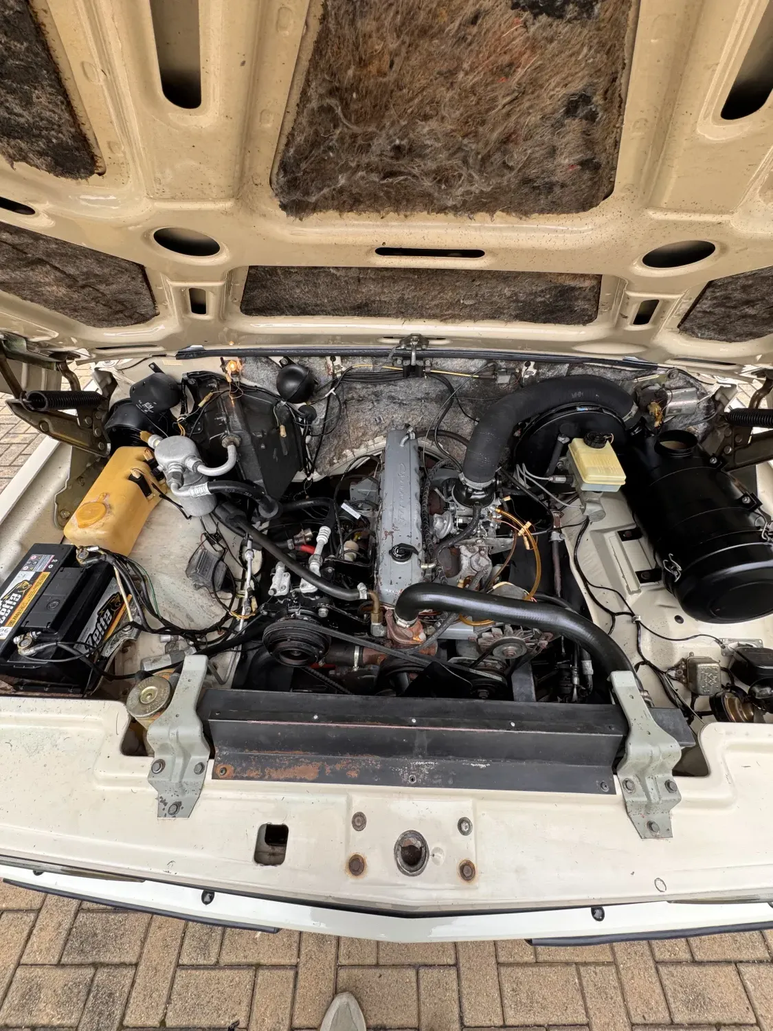 avv-chevrolet-bonanza-venda-cbaaf14-imagem-012