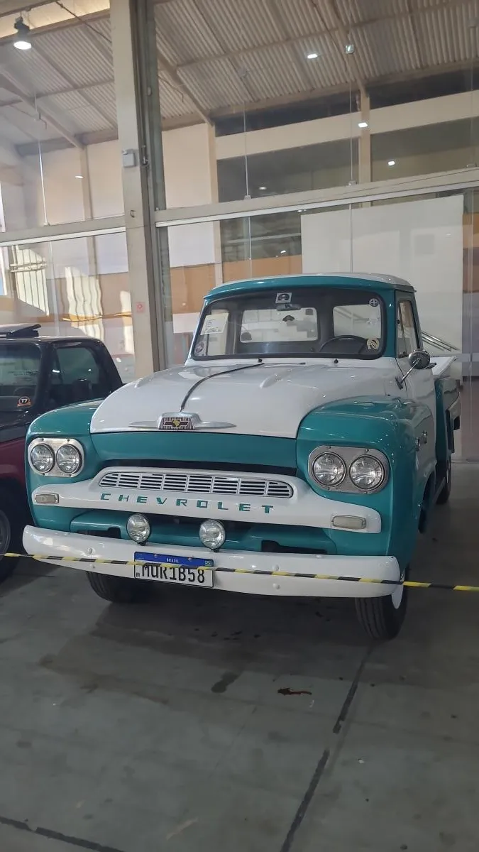 avv-chevrolet-brasil-3100-pick-up-venda-rrighuo-imagem-017