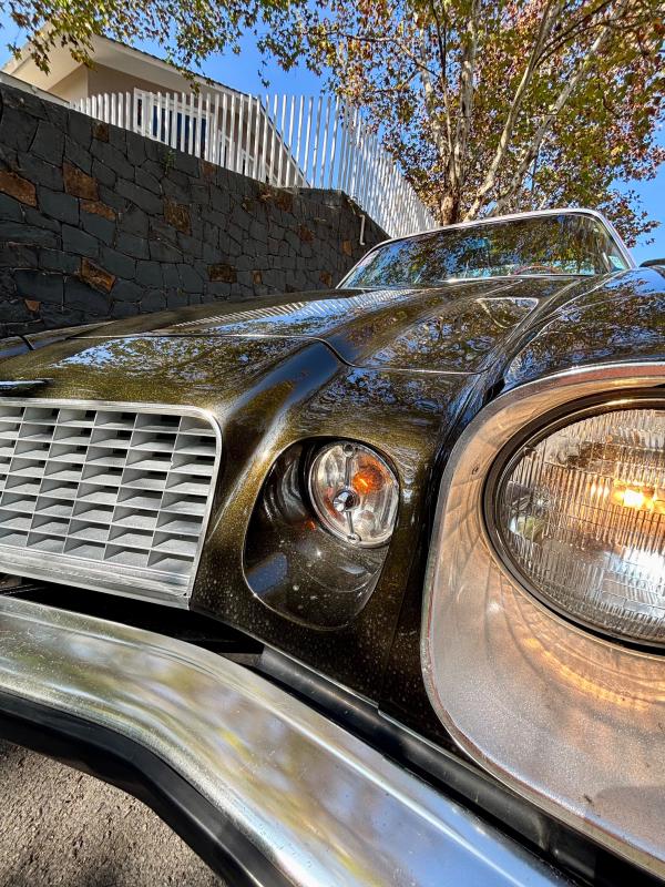 Camaro - Foto #11 do anúncio à venda de Carro clássico