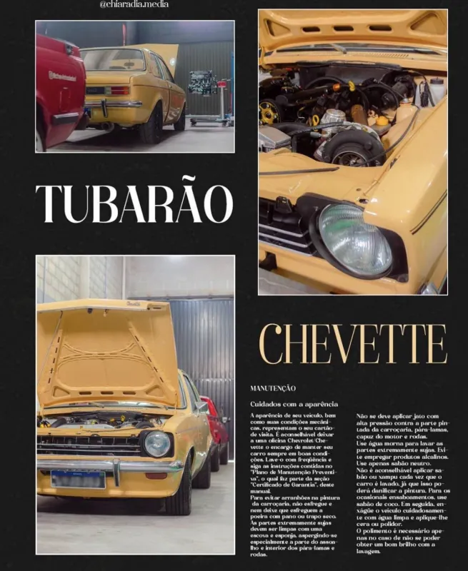 avv-chevrolet-chevette-venda-f30c807-imagem-011