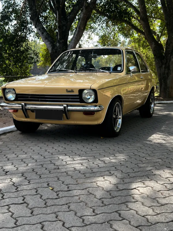 avv-chevrolet-chevette-venda-f30c807-imagem-018