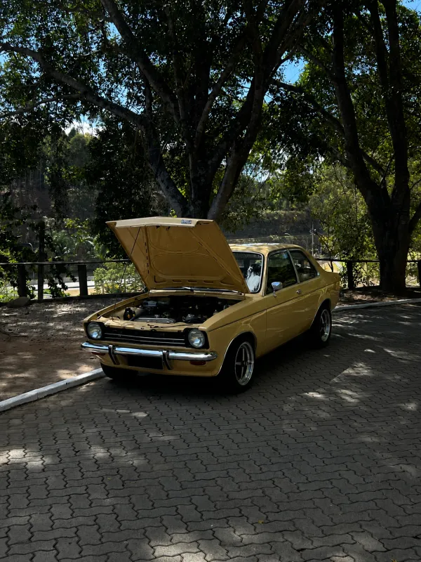 avv-chevrolet-chevette-venda-f30c807-imagem-019
