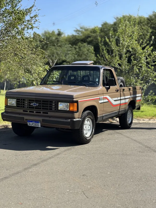 avv-chevrolet-d20-venda-7e13948-imagem-007