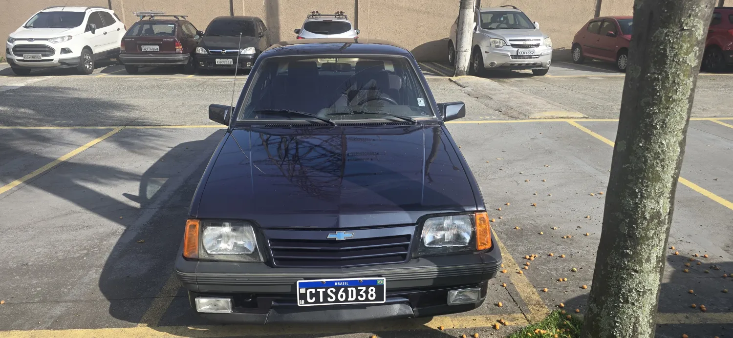 avv-chevrolet-monza-venda-1a29359-imagem-005