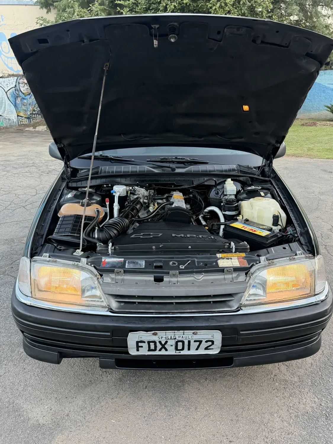 Ômega - Foto #14 do anúncio à venda de Carro clássico
