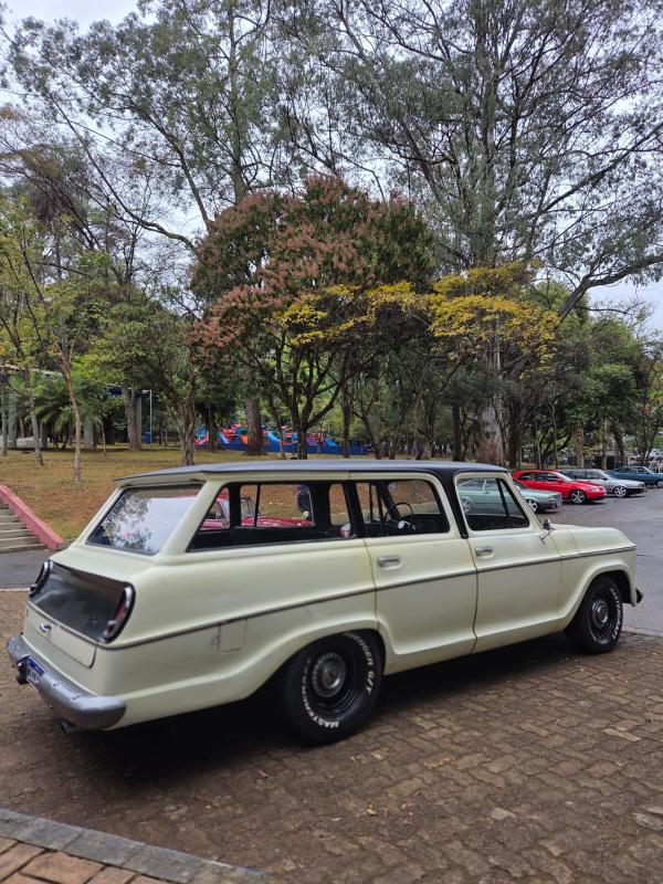 Veraneio - Foto #12 do anúncio à venda de Carro clássico