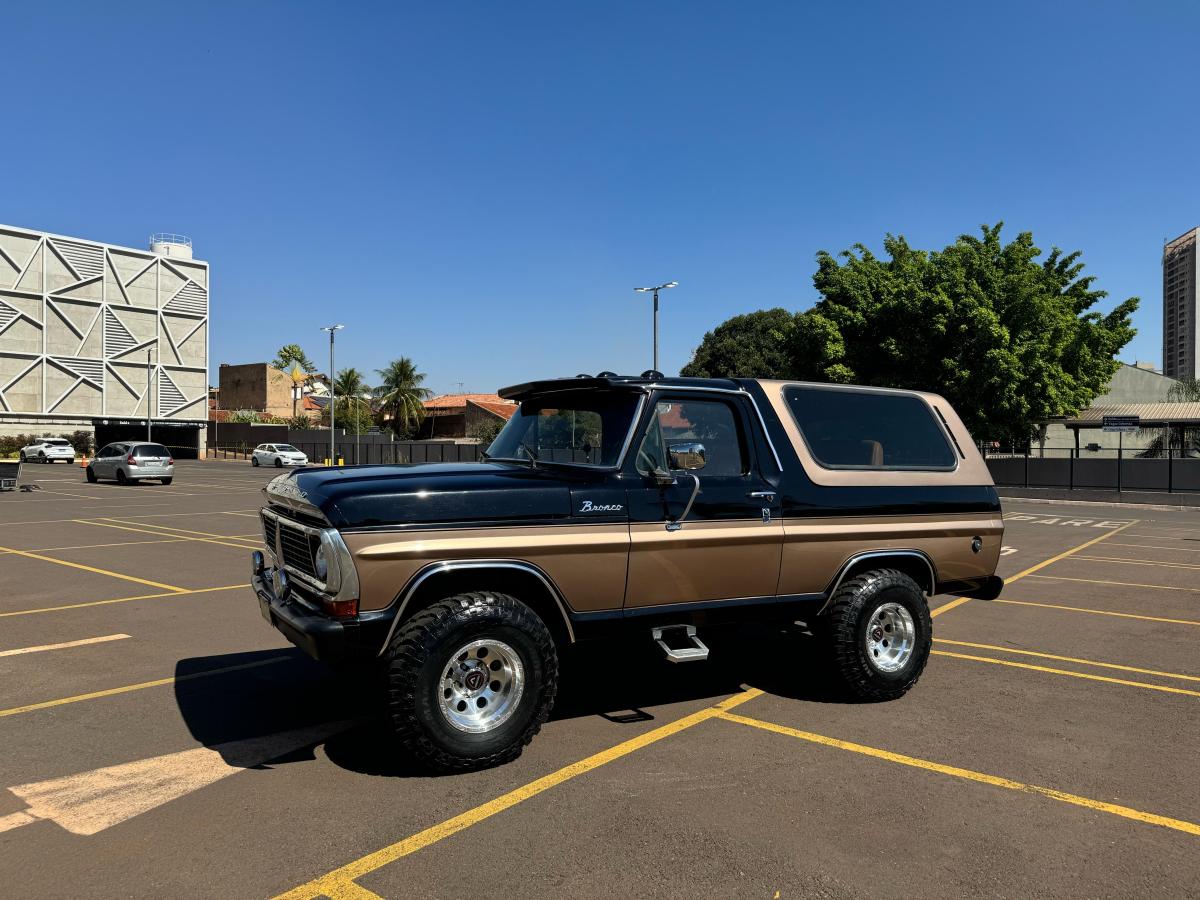 F1000 - Foto #3 do anúncio à venda de Carro clássico