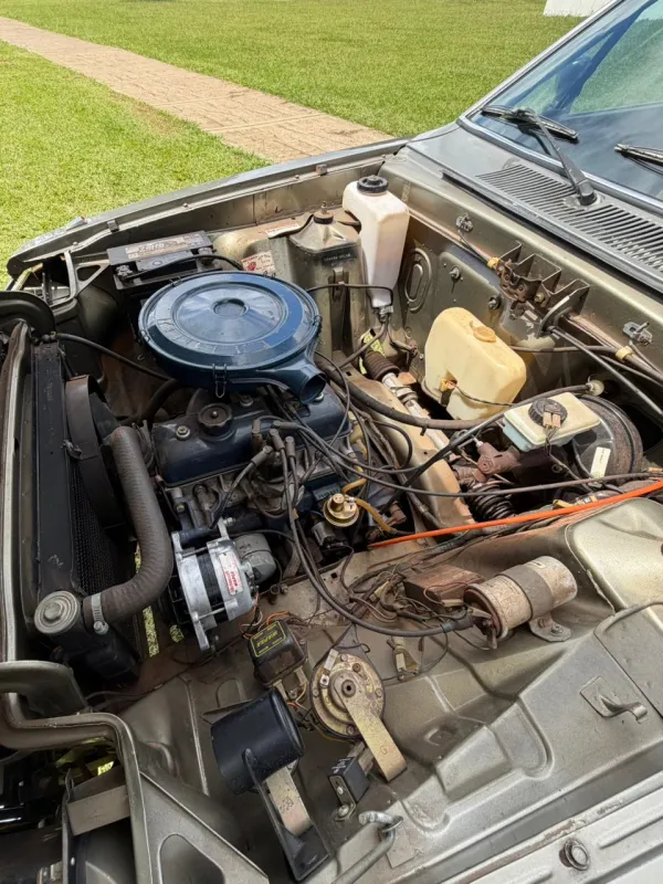 Del Rey - Foto #21 do anúncio à venda de Carro clássico