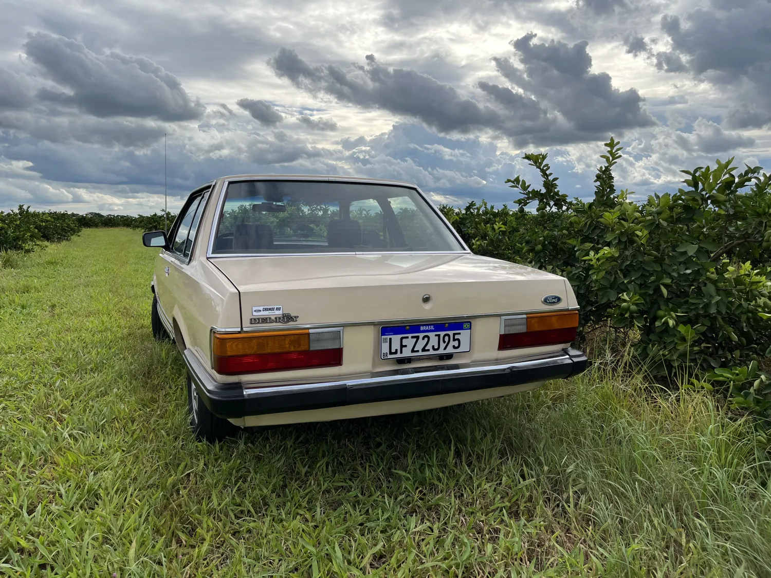 avv-ford-del-rey-venda-0504a99-imagem-002
