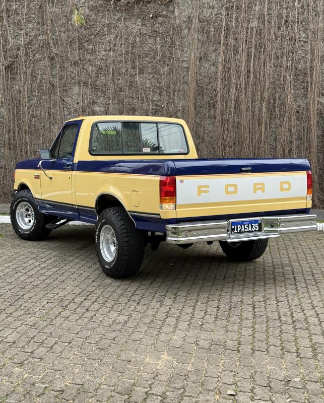F1000 - Foto #11 do anúncio à venda de Carro clássico