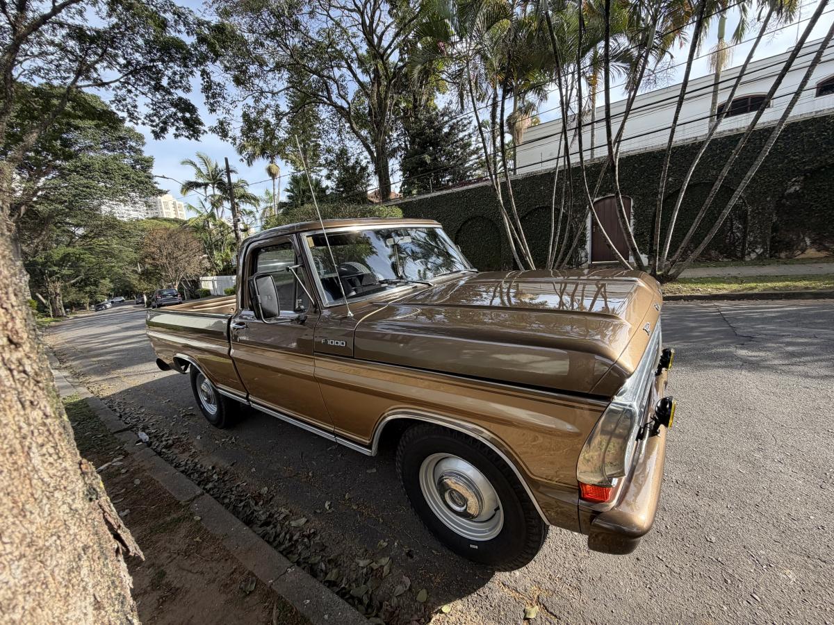 F1000 - Foto #5 do anúncio à venda de Carro clássico