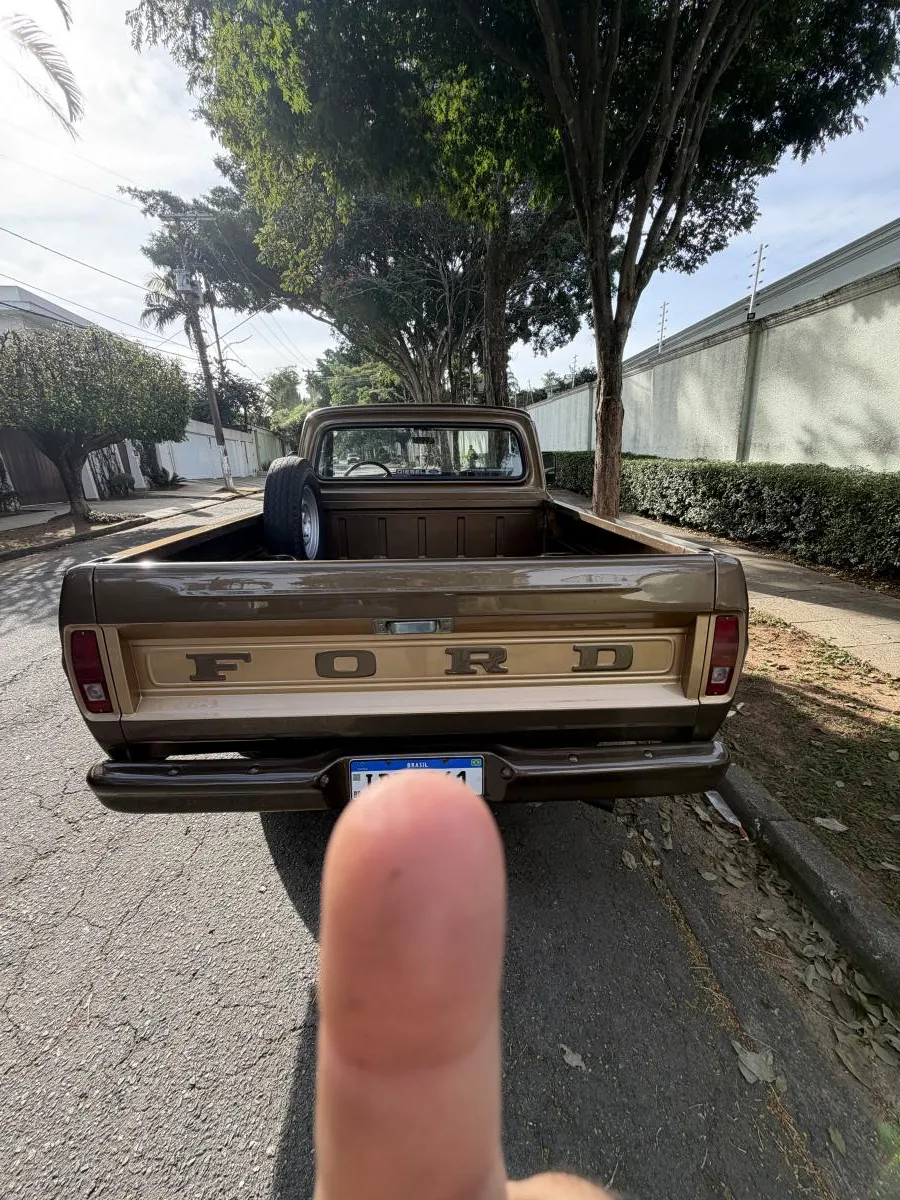 F1000 - Foto #12 do anúncio à venda de Carro clássico