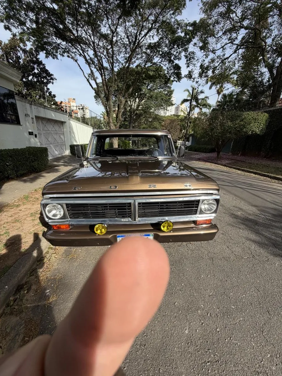 F1000 - Foto #13 do anúncio à venda de Carro clássico