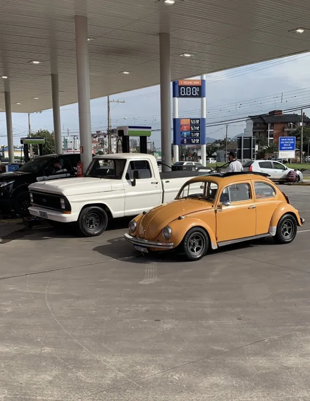 F1000 - Foto #12 do anúncio à venda de Carro clássico