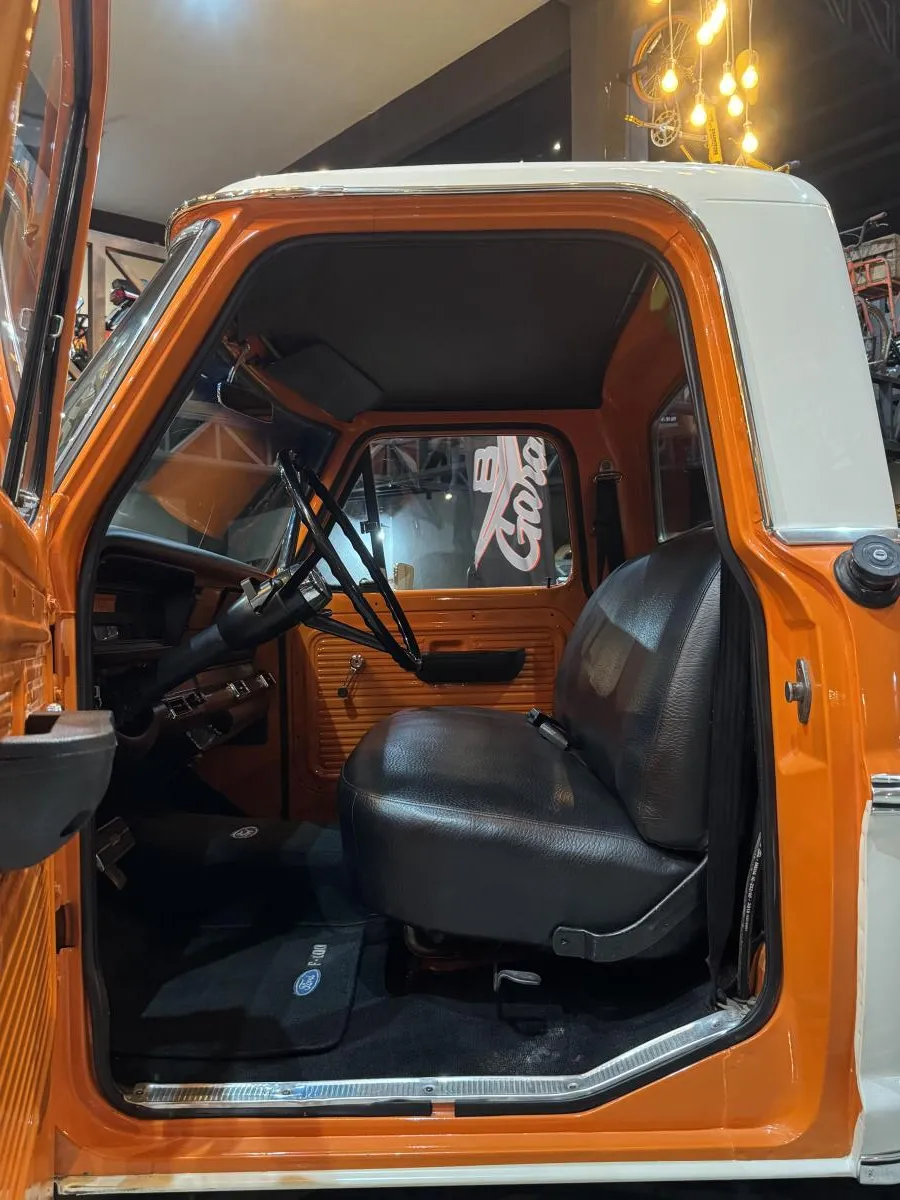 avv-ford-f100venda-tsyn0vl-imagem-019