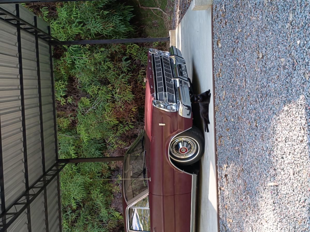 Galaxie - Foto #18 do anúncio à venda de Carro clássico