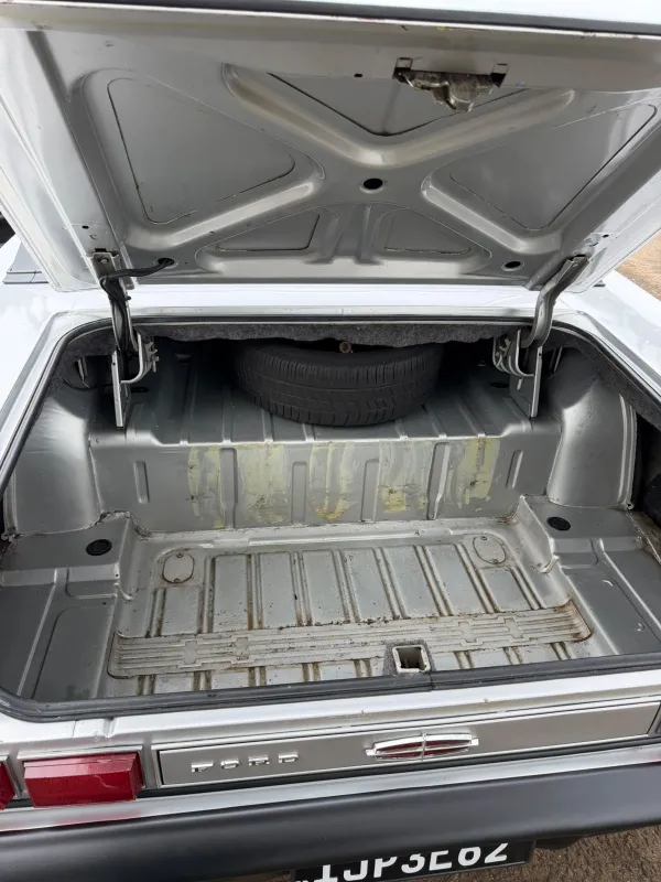 avv-ford-galaxie-venda-3a54794-imagem-005