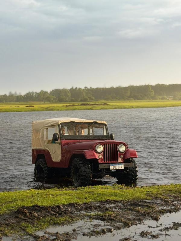 Jeep - Foto #9 do anúncio à venda de Carro clássico