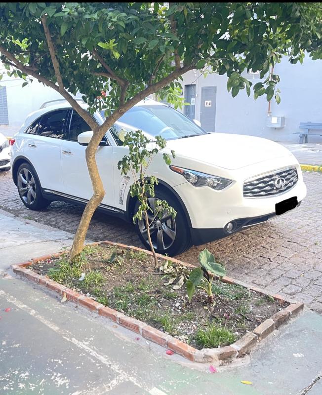 FX50s - Foto #4 do anúncio à venda de Carro clássico