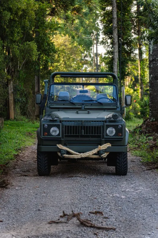 Defender - Foto #8 do anúncio à venda de Carro clássico