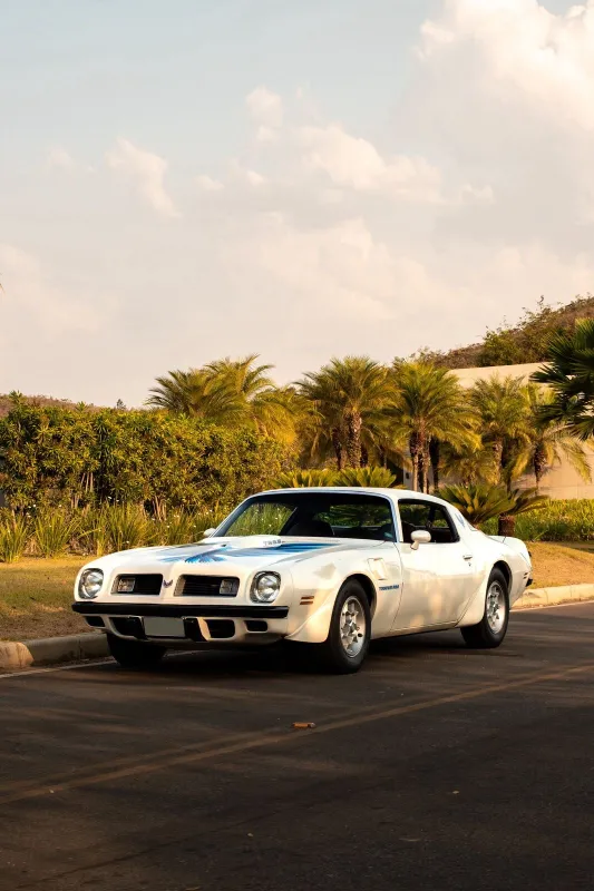 Firebird - Foto #2 do anúncio à venda de Carro clássico
