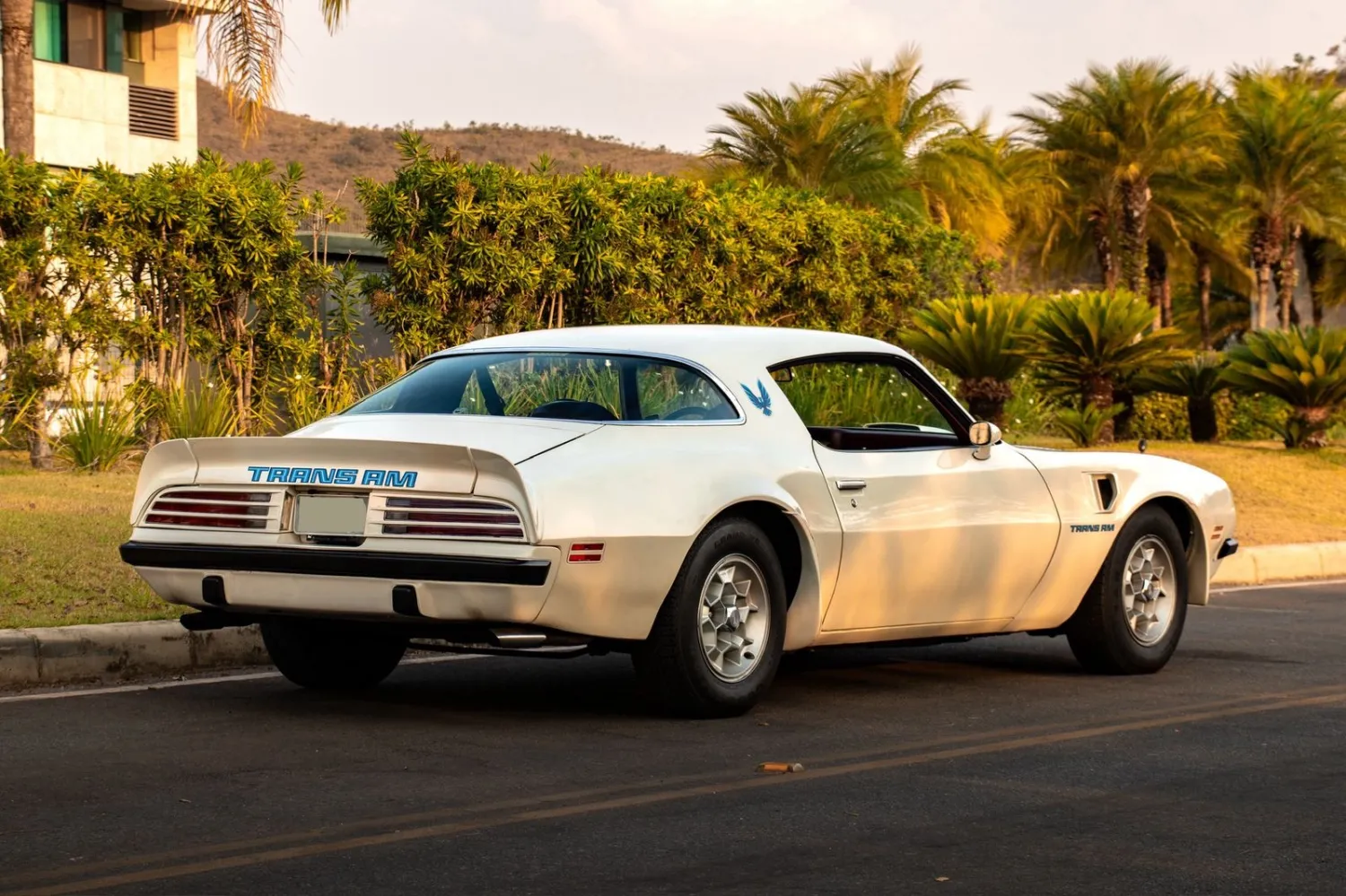 Firebird - Foto #7 do anúncio à venda de Carro clássico