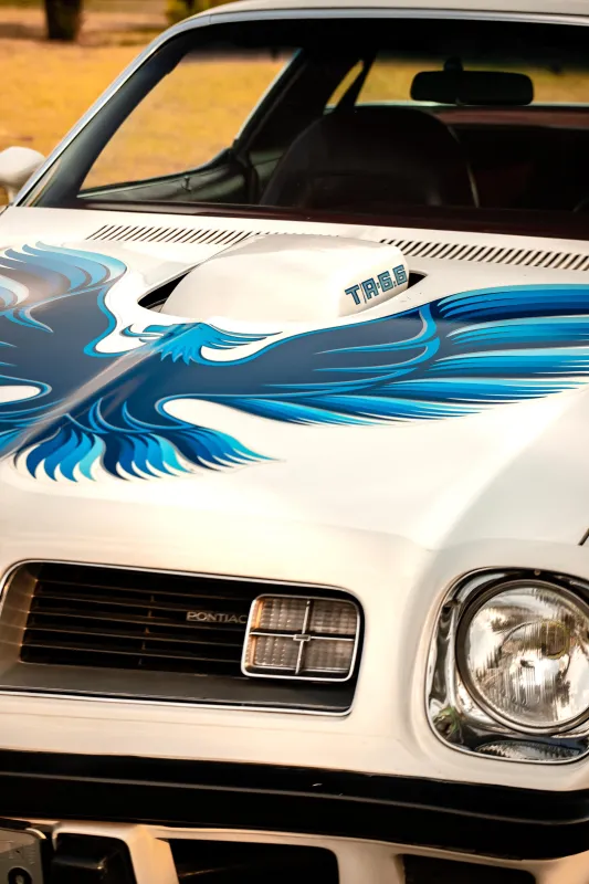 Firebird - Foto #11 do anúncio à venda de Carro clássico