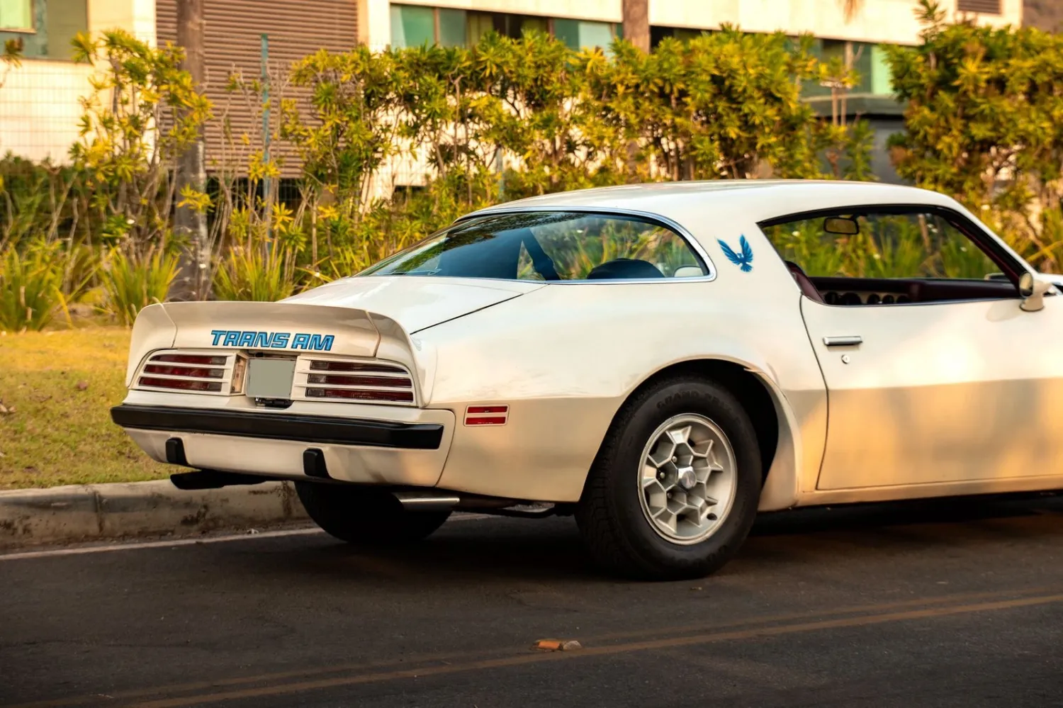 Firebird - Foto #23 do anúncio à venda de Carro clássico