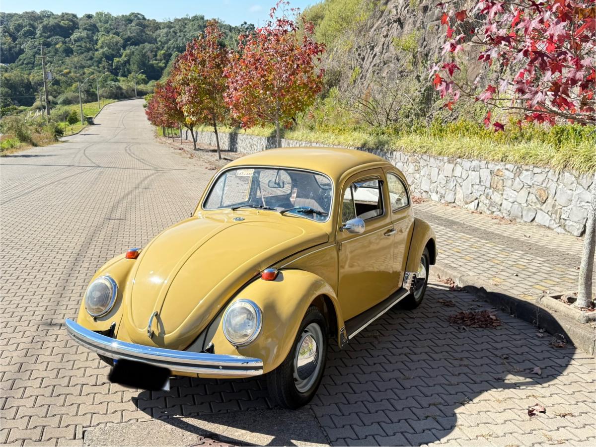 Fusca - Foto #13 do anúncio à venda de Carro clássico