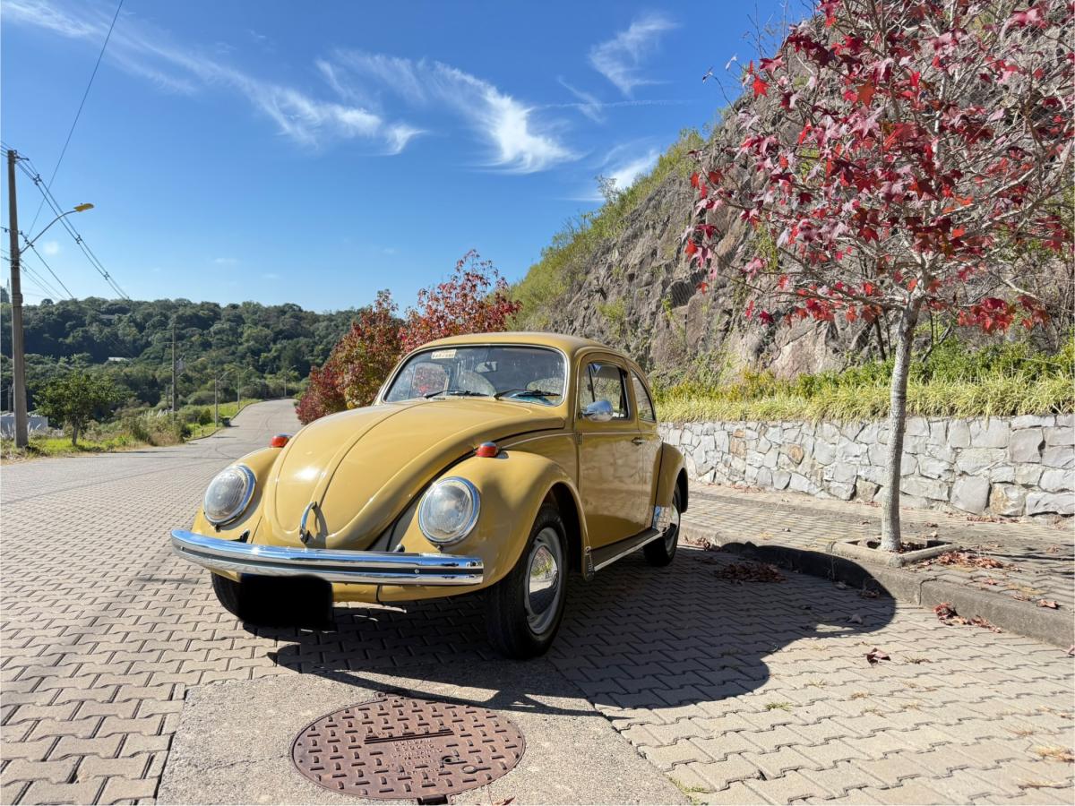 Fusca - Foto #14 do anúncio à venda de Carro clássico