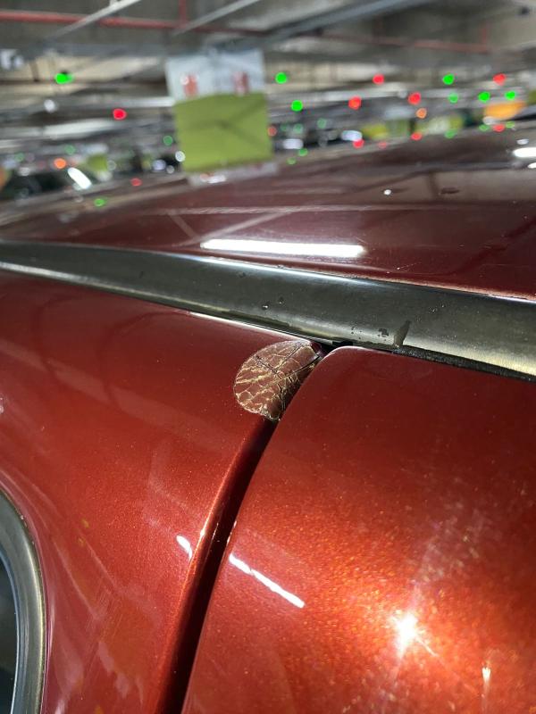 Gol - Foto #13 do anúncio à venda de Carro clássico