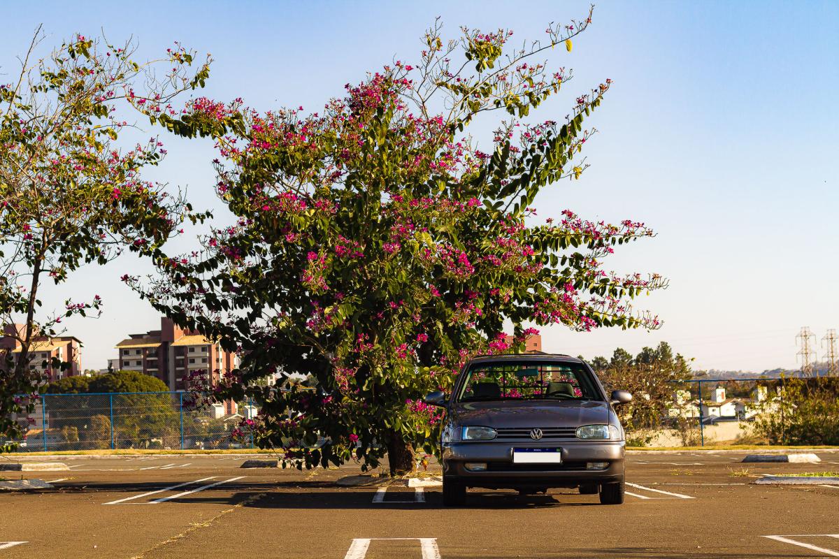 Saveiro - Foto #12 do anúncio à venda de Carro clássico