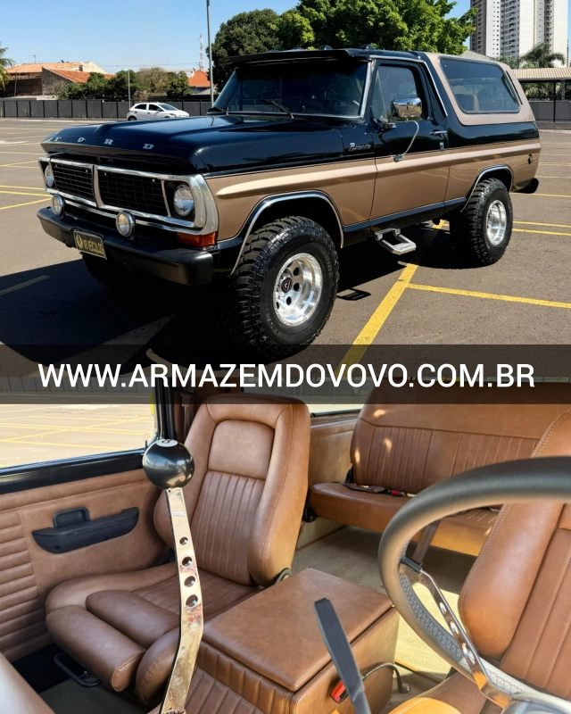 F1000 - Foto #1 do anúncio à venda de Carro clássico