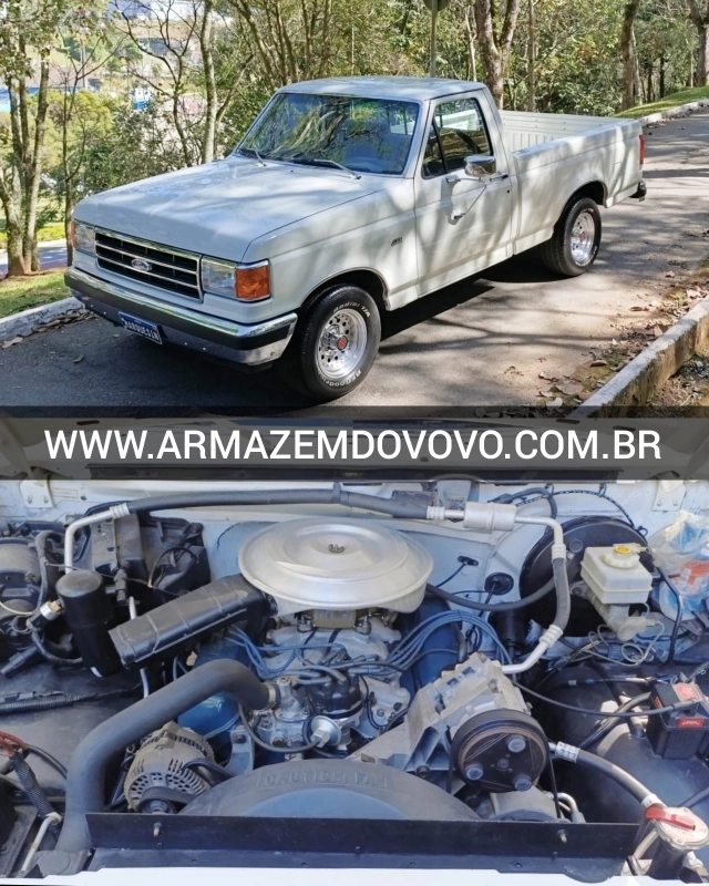 F1000 - Foto #1 do anúncio à venda de Carro clássico
